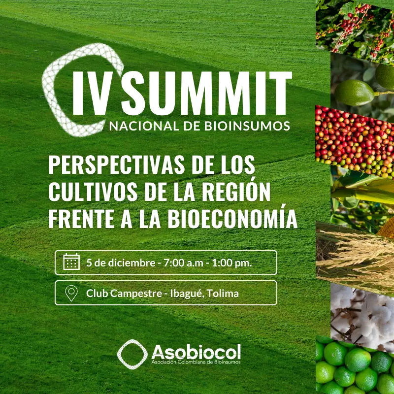 PERSPECTIVAS DE LOS CULTIVOS DE LA REGIÓN FRENTE A LA BIOECONOMÍA